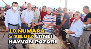 10 NUMARA 5 YILDIZ CANLI HAYVAN PAZARI