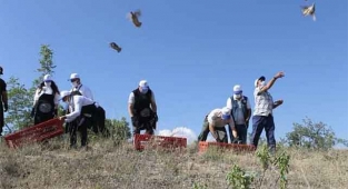 600 kınalı keklik doğaya salındı