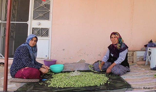 Bamya hasadı başladı