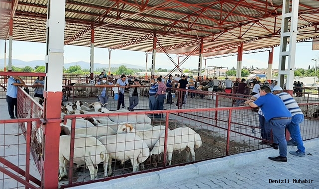 Çal Hayvan Pazarı açıldı