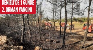 Denizli'de 1 günde  2. orman yangını