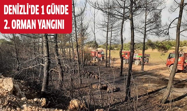 Denizli'de 1 günde 2. orman yangını