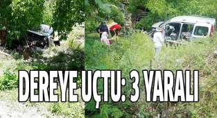 Direksiyon hakimiyetini kaybetti, dereye uçtu