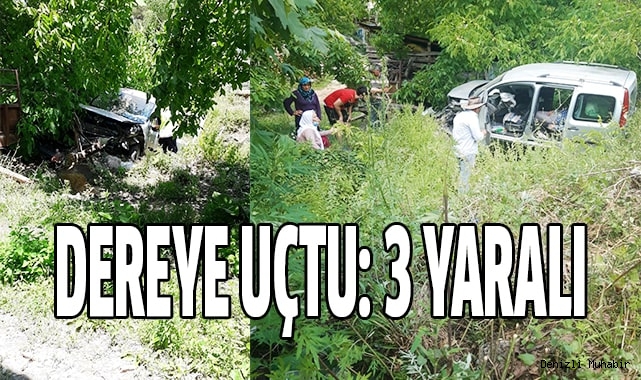 Direksiyon hakimiyetini kaybetti, dereye uçtu