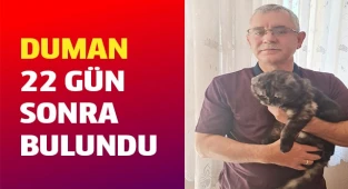 Firari kedi 22 gün sonra bulundu