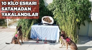 Jandarma tacirleri adım adım takip etti