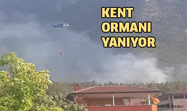 Bağbaşı'nda yangın