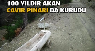 Kuraklıktan 100 yıldır akan 'Cavur Pınarı' da kurudu