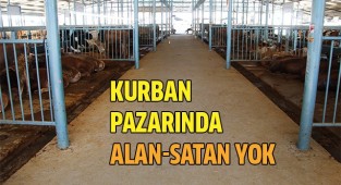 Kurban pazarında yaprak kıpırdamıyor