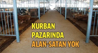 Kurban pazarında yaprak kıpırdamıyor