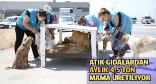 Mama üretim tesisi ile aylık 35 bin TL tasarruf sağlanıyor…