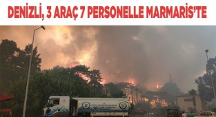 Marmaris'te ilk belirlemelere göre 1 fabrika, 27 ev ve 1 araç yandı