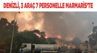 Marmaris'te ilk belirlemelere göre 1 fabrika, 27 ev ve 1 araç yandı