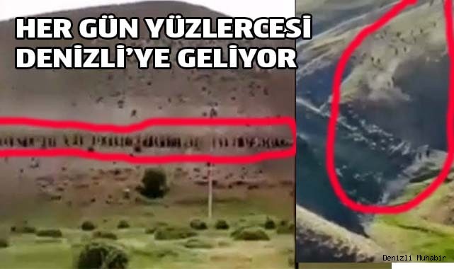 MÜLTECİLERİN ÜLKEYE GİRİŞİNE GÖZ MÜ YUMULUYOR?