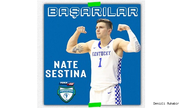 Nate Sestina, NBA Yaz Ligi'nde