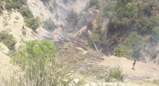 Orman yangını vatandaşların desteğiyle kısa sürede söndürüldü