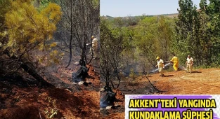 Orman yangınında kundaklama iddiası