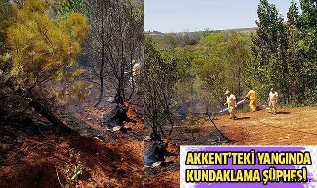 Orman yangınında kundaklama iddiası