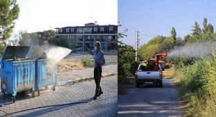 Pamukkale Belediyesi karasinekle mücadelesini sürdürüyor