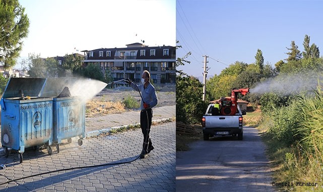 Pamukkale Belediyesi karasinekle mücadelesini sürdürüyor