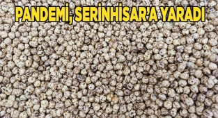 Pandemide dışarıya çıkamayan oturup leblebi yedi