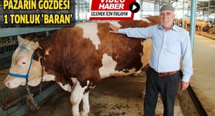 Pazarın gözdesi 1 tonluk 'Baran’ oldu