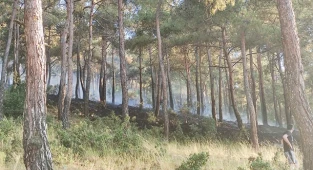Şirinköy'de çıkan yangın korkuttu