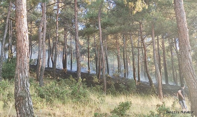 Şirinköy'de çıkan yangın korkuttu
