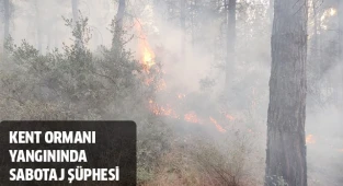 Yerleşim alanlarına yakın 2 noktada çıkan yangında sabotaj şüphesi