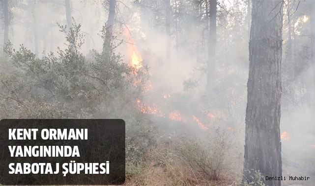 Yerleşim alanlarına yakın 2 noktada çıkan yangında sabotaj şüphesi