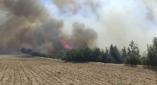 160 yangın kontrol altına alındı, 14'ünü söndürme çalışmaları sürüyor