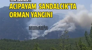 Acıpayam-Köyceğiz sınırında yangın