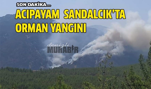 Acıpayam-Köyceğiz sınırında yangın