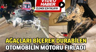 Ağaçları biçerek durabilen otomobilin motoru fırladı