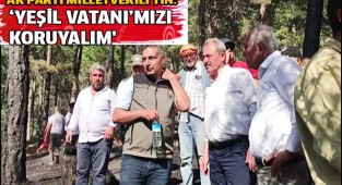 AK Parti Milletvekili Tin ‘Yeşil vatanı’mızı koruyalım'