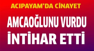 Amcaoğlunu vurdu, intihar etti