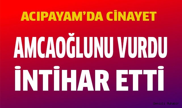 Amcaoğlunu vurdu, intihar etti