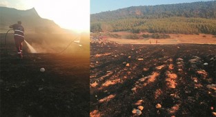 Anız yangını ormana sıçramadan söndürüldü