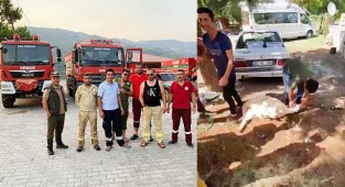Antalya'dan dönen orman ekibini kurban keserek karşıladılar