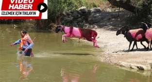 Asırlık yarış ödülle sona erdi