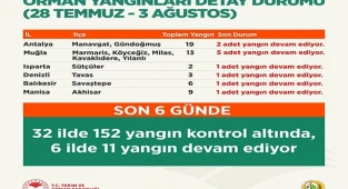 Bakan Pakdemirli: "152 orman yangını kontrol altında, 11 orman yangını devam ediyor”