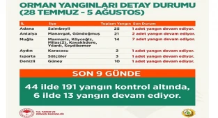 Bakanı Pakdemirli, orman yangınlarına ilişkin son durumu paylaştı