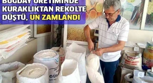 Buğday üretiminde kuraklıktan rekolte düştü, un fiyatı zamlandı