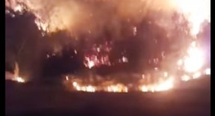 Buldan İçme deresinde yangın çıktı