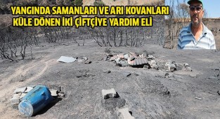 Büyükşehir orman yangınlarının yaraları sarmaya devam ediyor