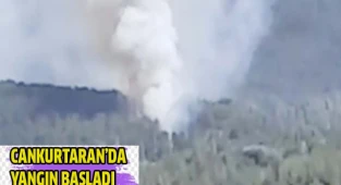 Cankurtaran'da yangın başladı