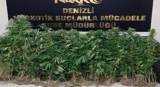 Denizli’de 11 zehir taciri gözaltına alındı