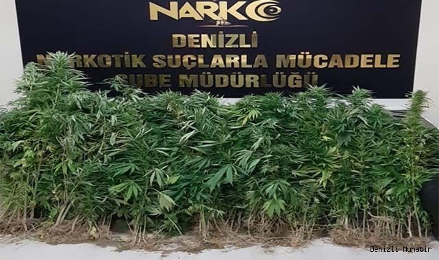Denizli’de 11 zehir taciri gözaltına alındı