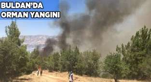 Denizli’de başlayan orman yangını için halk seferber oldu