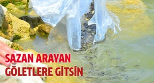 Denizli'de göllere 210 bin adet yavru sazan bırakıldı